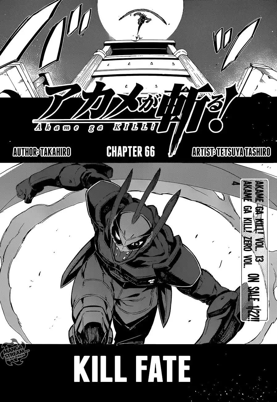 Akame ga Kill! Chapter 66 6